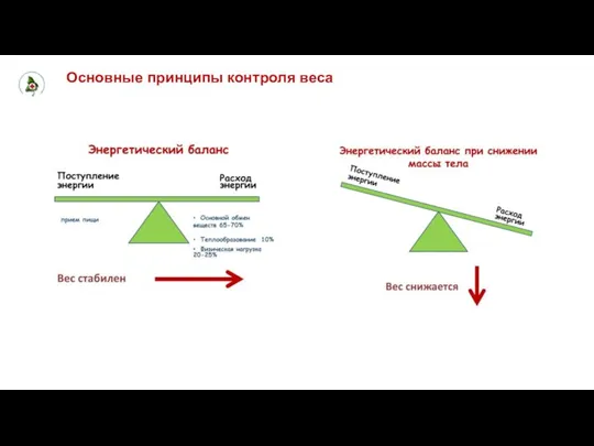 Основные принципы контроля веса