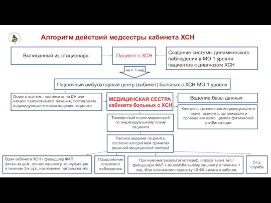 Алгоритм действий медсестры кабинета ХСН