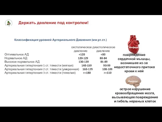 Держать давление под контролем! Инсульт острое нарушение кровообращения мозга, вызывающее повреждение