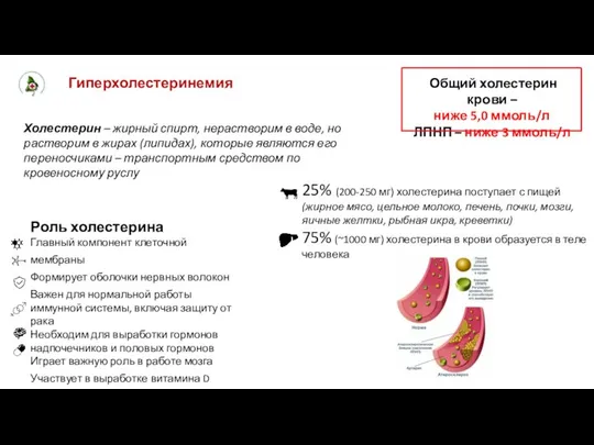 Гиперхолестеринемия Общий холестерин крови – ниже 5,0 ммоль/л ЛПНП – ниже