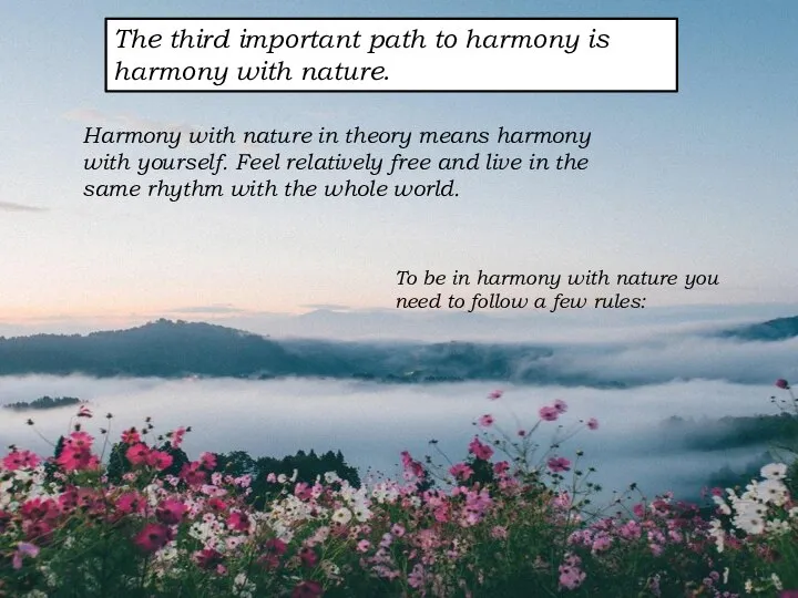 The third important path to harmony is harmony with nature. Harmony