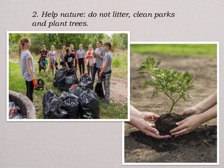 2. Help nature: do not litter, clean parks and plant trees.