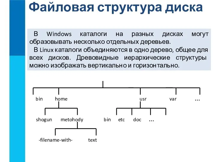 Файловая структура диска В Windows каталоги на разных дисках могут образовывать