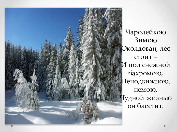 Чародейкою Зимою Околдован, лес стоит – И под снежной бахромою, Неподвижною,