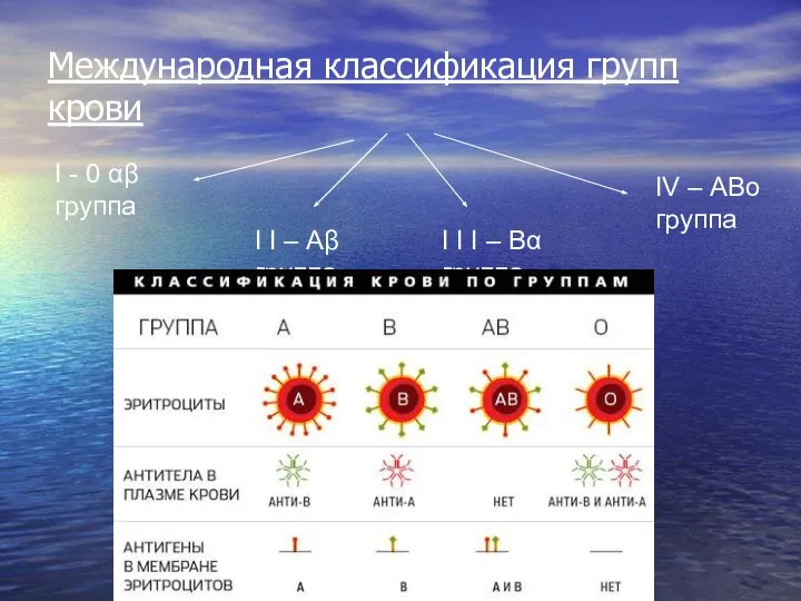 Международная классификация групп крови I - 0 αβ группа I I