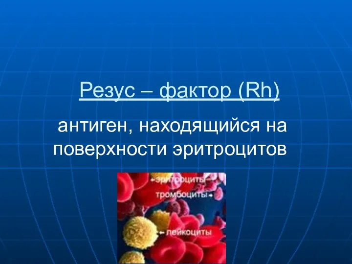 Резус – фактор (Rh) антиген, находящийся на поверхности эритроцитов