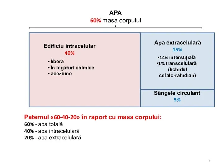 APA 60% masa corpului Edificiu intracelular 40% Sângele circulant 5% Apa