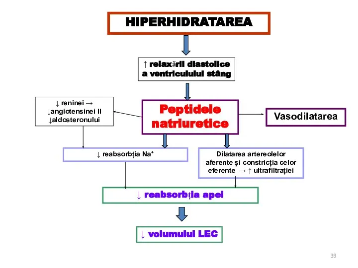 Peptidele natriuretice HIPERHIDRATAREA ↑ relaxării diastolice a ventriculului stâng Vasodilatarea Dilatarea