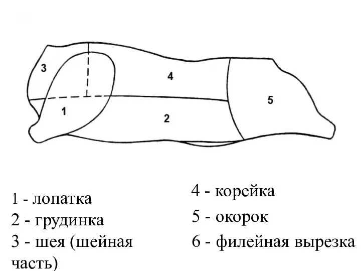 1 - лопатка 2 - грудинка 3 - шея (шейная часть)