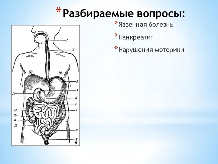 Разбираемые вопросы: Язвенная болезнь Панкреатит Нарушения моторики