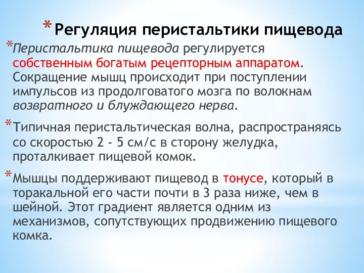 Регуляция перистальтики пищевода Перистальтика пищевода регулируется собственным богатым рецепторным аппаратом. Сокращение