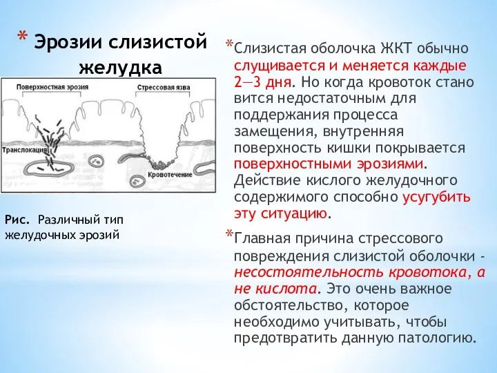 Эрозии слизистой желудка Слизистая оболочка ЖКТ обычно слущивается и меняется каждые