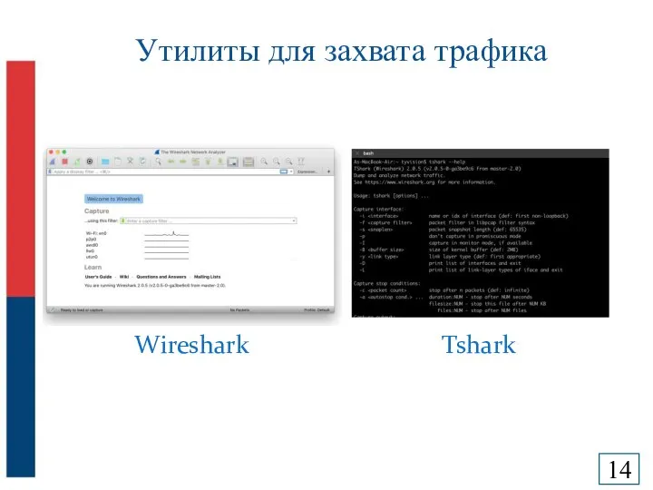 Утилиты для захвата трафика Wireshark Tshark