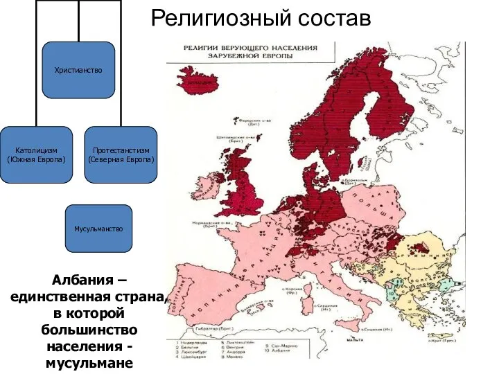 Религиозный состав Мусульманство Албания – единственная страна, в которой большинство населения - мусульмане