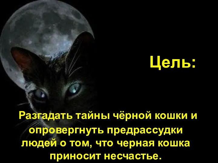 Цель: Разгадать тайны чёрной кошки и опровергнуть предрассудки людей о том, что черная кошка приносит несчастье.