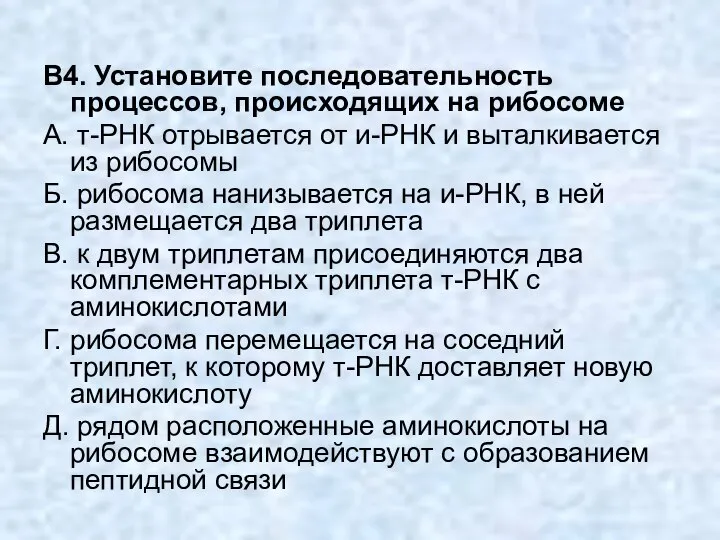 В4. Установите последовательность процессов, происходящих на рибосоме А. т-РНК отрывается от