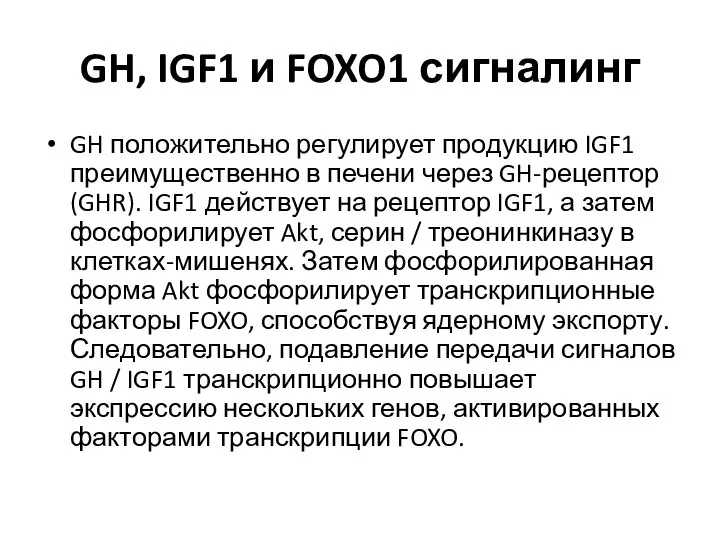 GH, IGF1 и FOXO1 сигналинг GH положительно регулирует продукцию IGF1 преимущественно