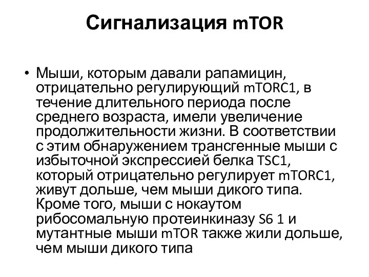 Сигнализация mTOR Мыши, которым давали рапамицин, отрицательно регулирующий mTORC1, в течение