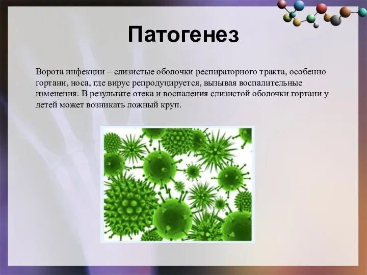 Патогенез Ворота инфекции – слизистые оболочки респираторного тракта, особенно гортани, носа,