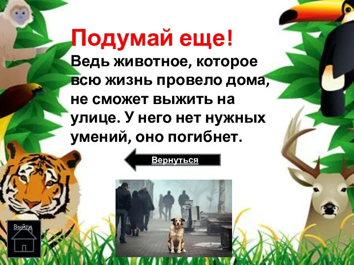 Подумай еще! Ведь животное, которое всю жизнь провело дома, не сможет