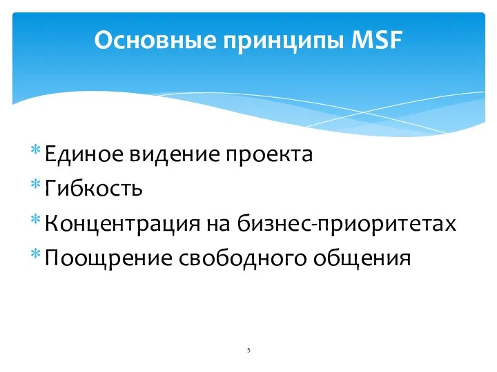 Единое видение проекта Гибкость Концентрация на бизнес-приоритетах Поощрение свободного общения Основные принципы MSF