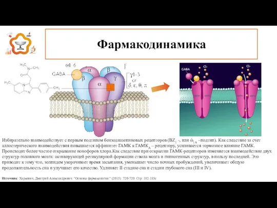 Фармакодинамика Избирательно взаимодействует с первым подтипом бензодиазепиновых рецепторов (BZ1 -, или