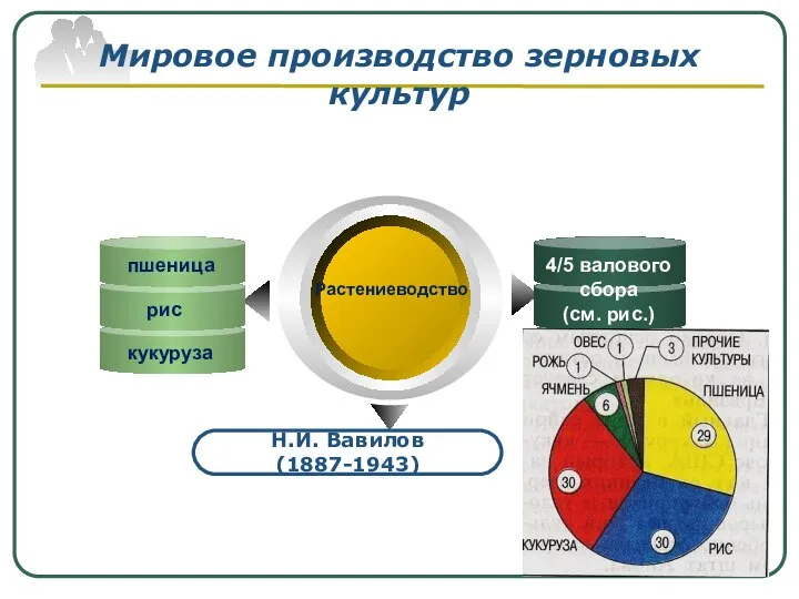 Мировое производство зерновых культур