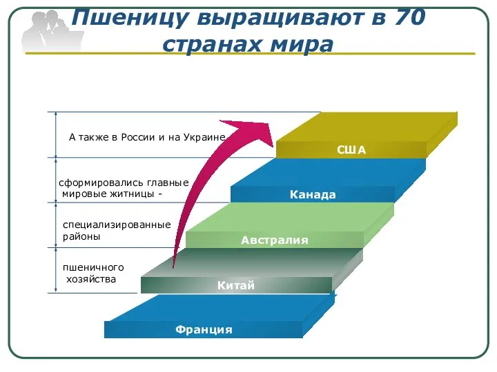 Пшеницу выращивают в 70 странах мира А также в России и