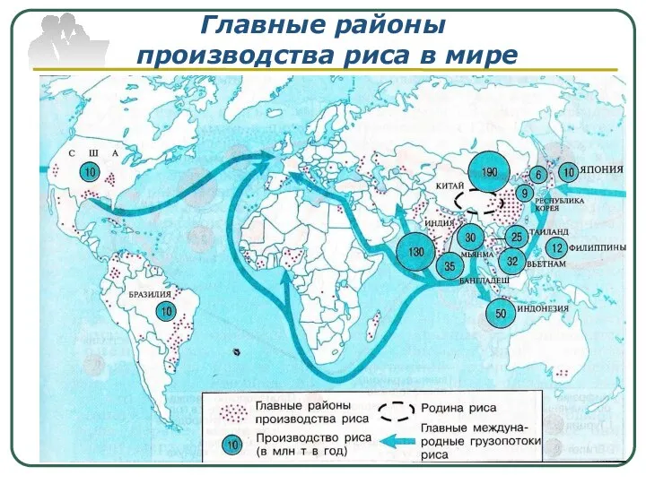 Главные районы производства риса в мире