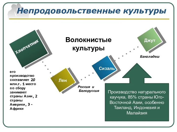 Непродовольственные культуры Бангладеш Хлопчатник Лен Сизаль Джут Волокнистые культуры Россия и