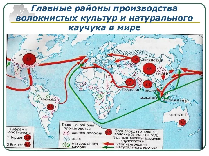 Главные районы производства волокнистых культур и натурального каучука в мире