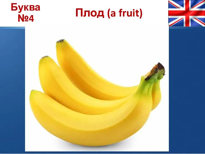 Буква №4 Плод (a fruit)