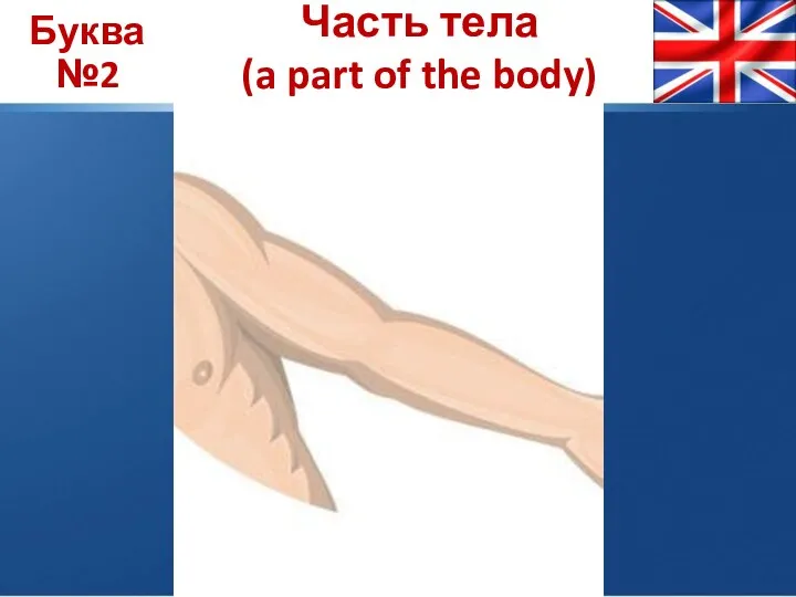 Буква №2 Часть тела (a part of the body)