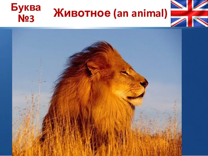 Буква №3 Животное (an animal)