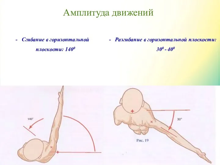 Амплитуда движений Сгибание в горизонтальной плоскости: 1400 Разгибание в горизонтальной плоскости: 300 - 400