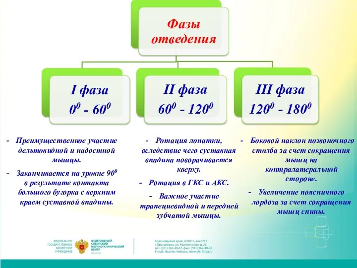 Преимущественное участие дельтовидной и надостной мышцы. Заканчивается на уровне 900 в