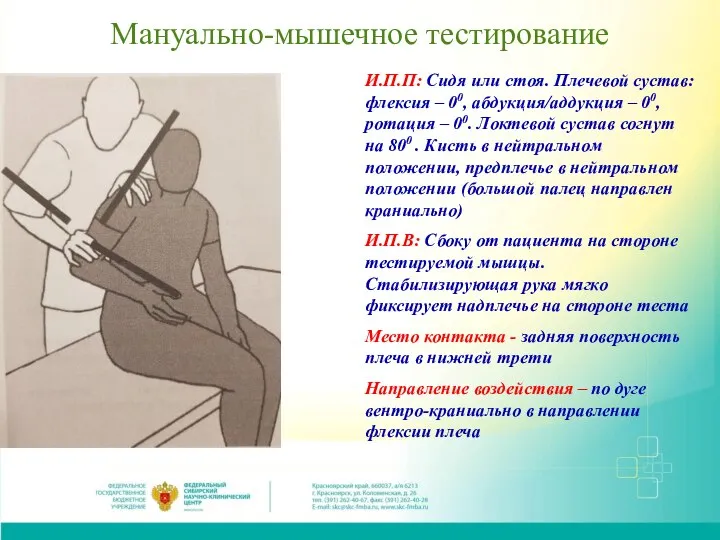 Мануально-мышечное тестирование И.П.П: Сидя или стоя. Плечевой сустав: флексия – 00,