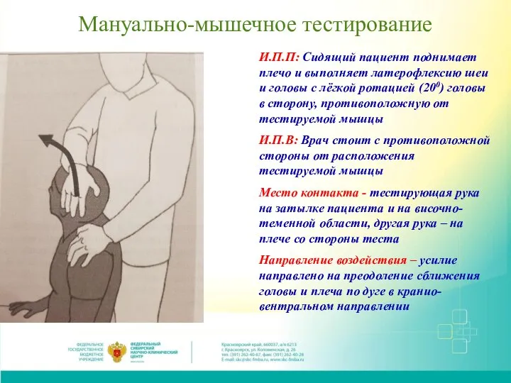 Мануально-мышечное тестирование И.П.П: Сидящий пациент поднимает плечо и выполняет латерофлексию шеи