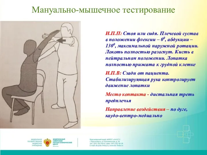 Мануально-мышечное тестирование И.П.П: Стоя или сидя. Плечевой сустав в положении флексии