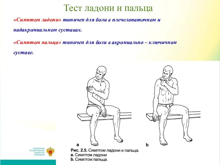 Тест ладони и пальца «Симптом ладони» типичен для боли в плечелопаточном