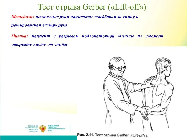 Тест отрыва Gerber («Lift-off») Методика: положение руки пациента: заведённая за спину