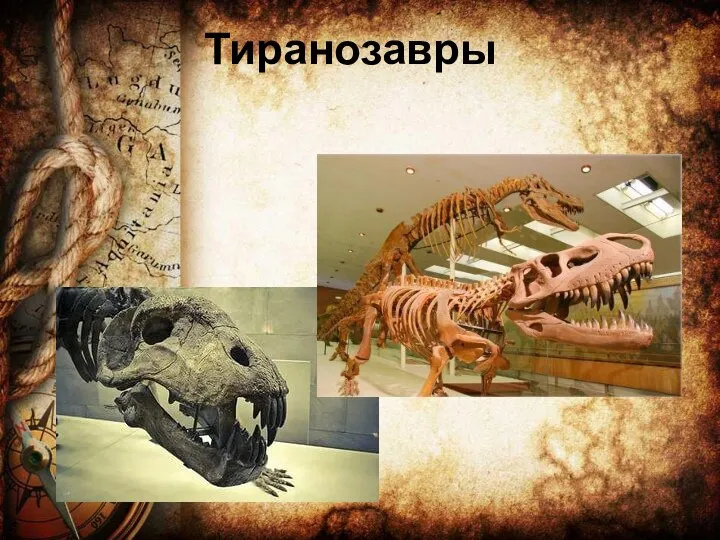 Тиранозавры