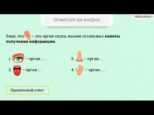 Ответьте на вопрос Зная, что – это орган слуха, назови остальные