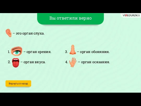 Вы ответили верно Вернуться назад – это орган слуха. 1. –