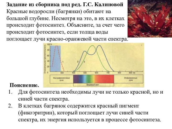 Задание из сборника под ред. Г.С. Калиновой Красные водоросли (багрянки) обитают