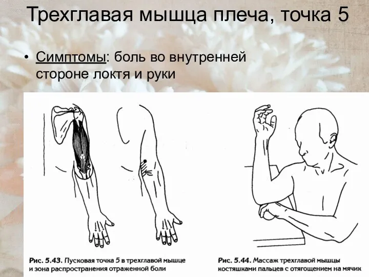 Трехглавая мышца плеча, точка 5 Симптомы: боль во внутренней стороне локтя и руки