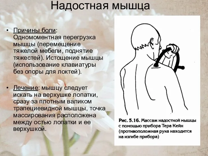 Надостная мышца Причины боли: Одномоментная перегрузка мышцы (перемещение тяжелой мебели, поднятие