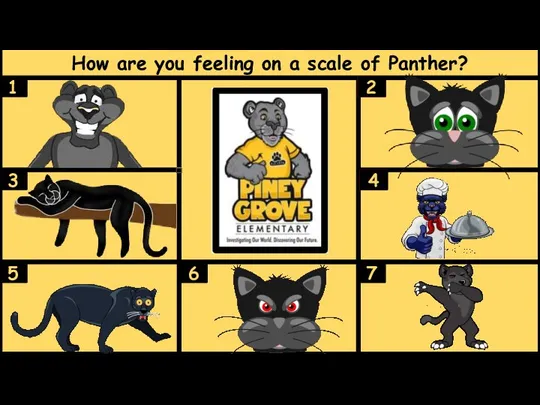 How are you feeling on a scale of Panther? 1 7