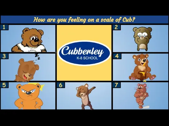 How are you feeling on a scale of Cub? 1 7