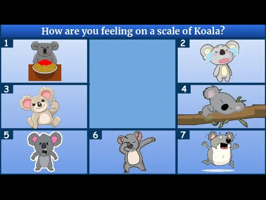 How are you feeling on a scale of Koala? 1 7 4 3 2 6 5